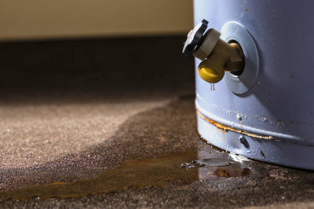 Best Professional water damage repair  in Edmond, OK