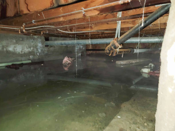 Reliable Edmond, OK Water damage restoration Solutions