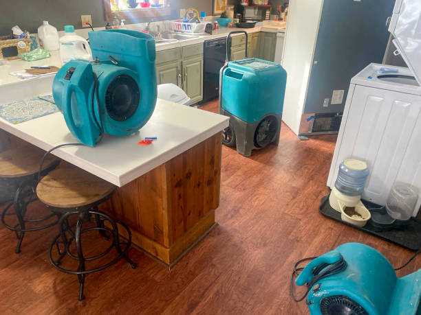 Best Water damage restoration specialists  in Edmond, OK