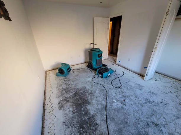 Best Flood restoration services  in Edmond, OK