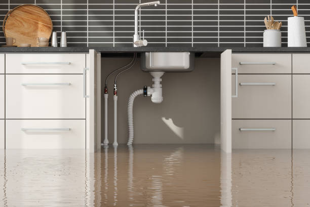 Best Flood damage cleanup  in Edmond, OK